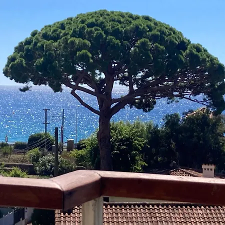 Access, Private In Shared 3-bedroom Apartment, Private Bathroom, Living With Sea View Parentale Salle De Bain Privee Acces Plages & Vue Du Salon Dans Partage Cannes