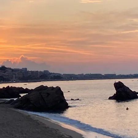 Access, Private In Shared 3-bedroom Apartment, Private Bathroom, Living With Sea View Parentale Salle De Bain Privee Acces Plages & Vue Du Salon Dans Partage