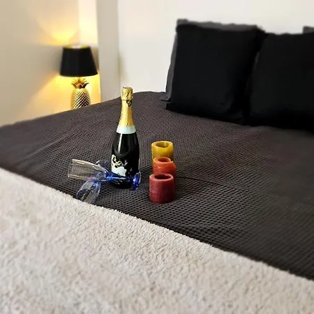 ホームステイ Access, Private In Shared 3-bedroom Apartment, Private Bathroom, Living With Sea View Parentale Salle De Bain Privee Acces Plages & Vue Du Salon Dans Partage カンヌ